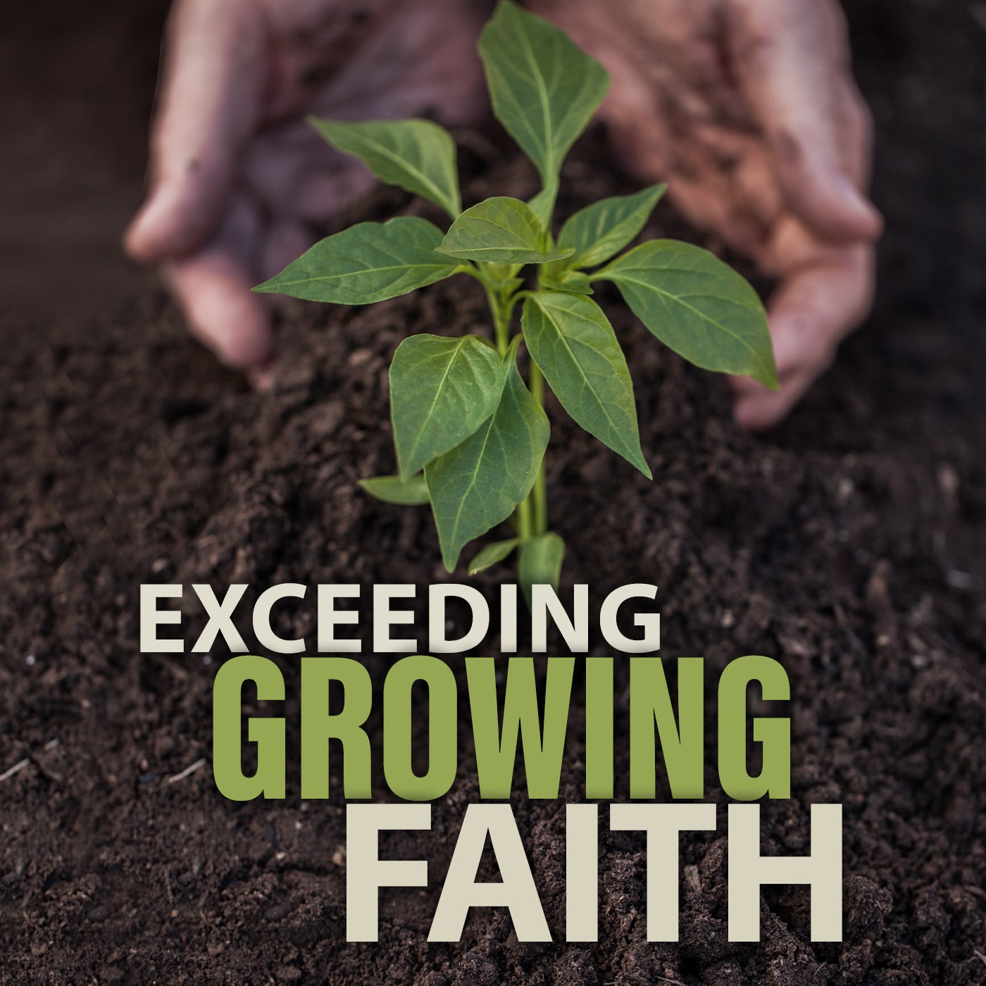 Exceeding Growing Faith SD Video